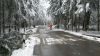 THL - Sturm/Schneebruch